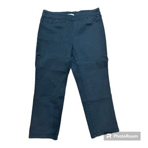Drapers and Damon’s Slimtacular® Straight Leg‎ Pull-On Denim Jeans Petite Small